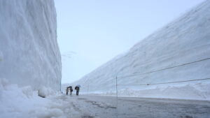 地面スレスレから雪の大谷を撮影した写真